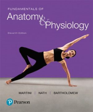 Fundamentals of Anatomy and Physiology 11th Edition Martini TEST BANK