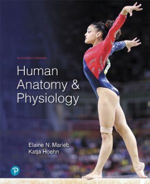 Human Anatomy and Physiology 11th Edition Marieb TEST BANK