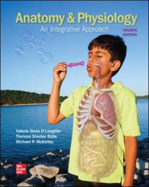 Anatomy and Physiology 4th Edition Michael McKinley SOLUTION MANUAL