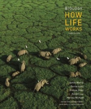 Biology How Life Works 3rd Edition James Morris TEST BANK