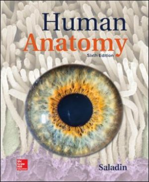 Human Anatomy 6th Edition Saladin SOLUTION MANUAL