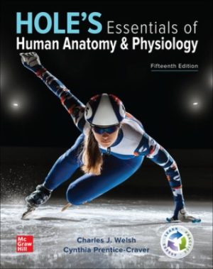 Hole's Essentials of Human Anatomy and Physiology 15th Edition Welsh TEST BANK