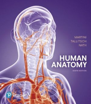 Human Anatomy 9th Edition Martini TEST BANK