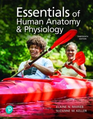 Essentials of Human Anatomy and Physiology 13th Edition Marieb TEST BANK