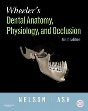 Wheeler's Dental Anatomy Physiology and Occlusion 9th Edition Nelson TEST BANK