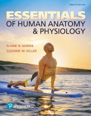 Essentials of Human Anatomy and Physiology 12th Edition Marieb TEST BANK