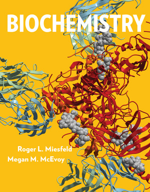 Biochemistry 1st Edition Miesfeld TEST BANK