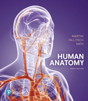 Human Anatomy 9th Edition Martini SOLUTION MANUAL
