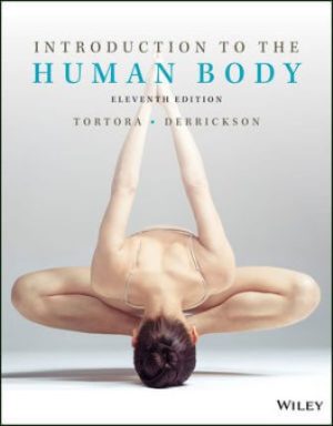 Introduction to the Human Body 11th Edition Tortora TEST BANK