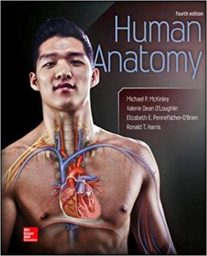 Human Anatomy 4th Edition McKinley TEST BANK