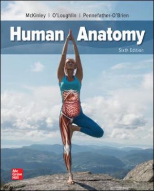 Human Anatomy 6th Edition McKinley TEST BANK