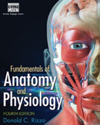 Fundamentals of Anatomy and Physiology 4th Edition Rizzo TEST BANK