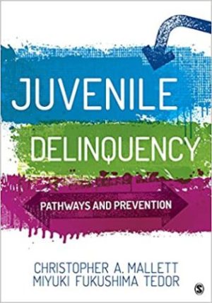 Juvenile Delinquency: Pathways and Prevention 1st Edition Mallett TEST BANK