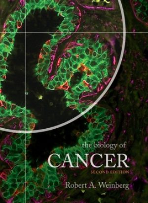 The Biology of Cancer 2nd Edition Weinberg TEST BANK