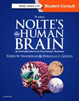 Nolte's The Human Brain 7th Edition Vanderah TEST BANK